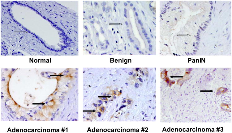 Fig. (4)