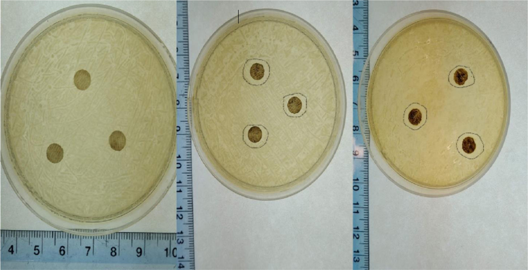 Figure 7.