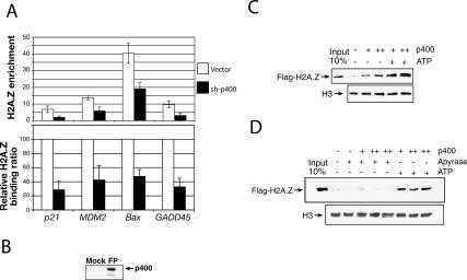 Figure 4.