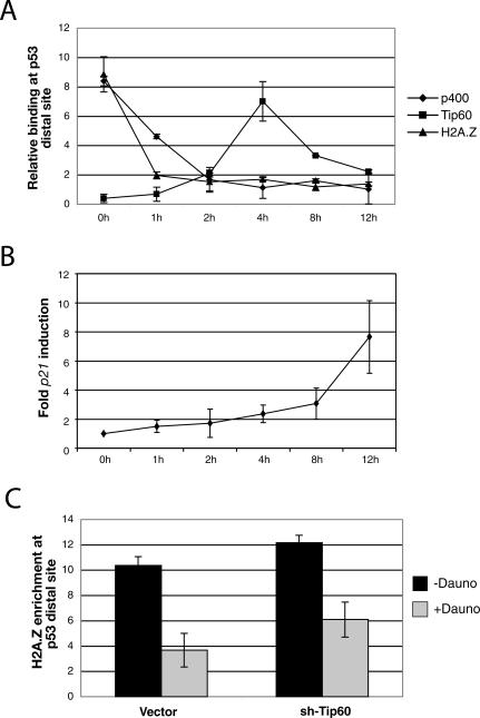 Figure 7.