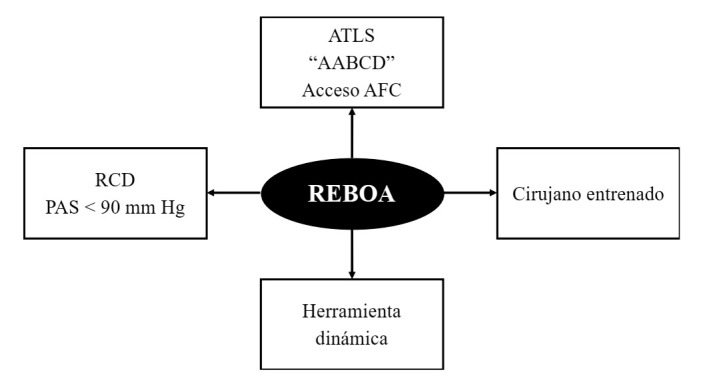 Figura 3