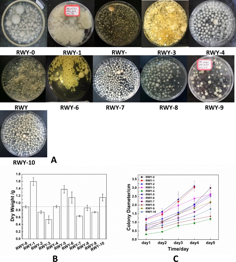 Fig 3