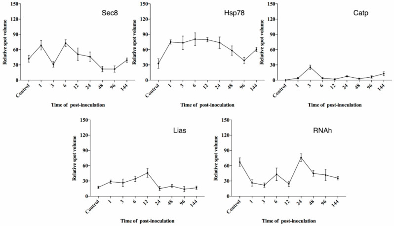 Figure 7