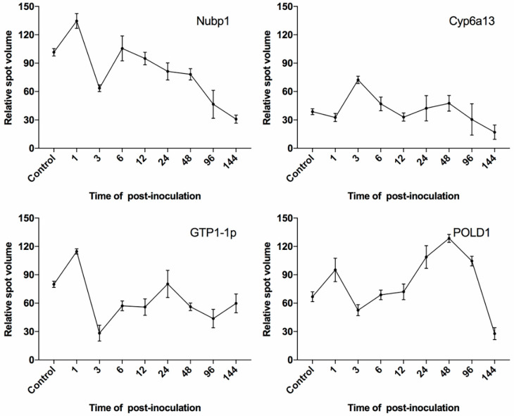 Figure 6