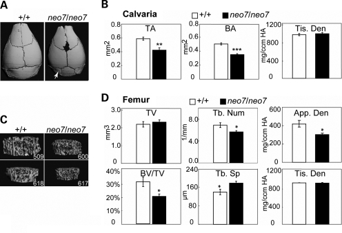 Figure 4.