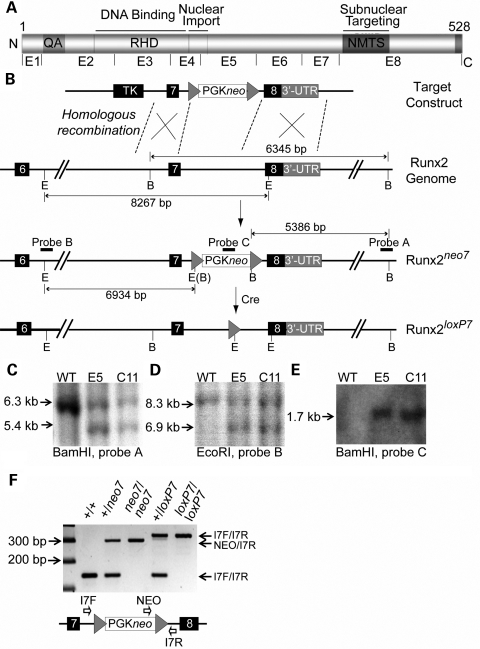 Figure 1.