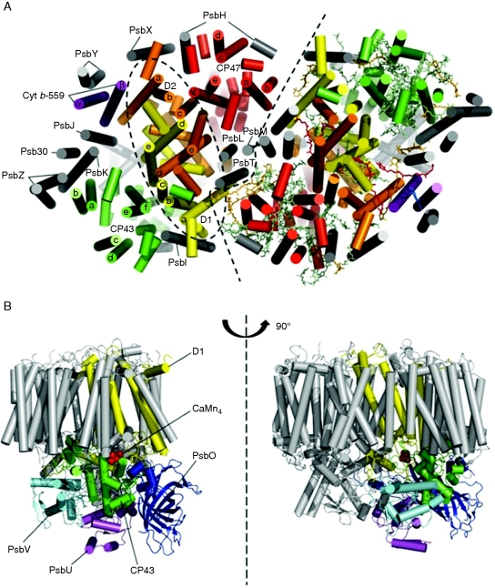 Fig. 1.