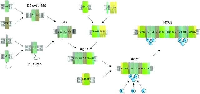 Fig. 2.