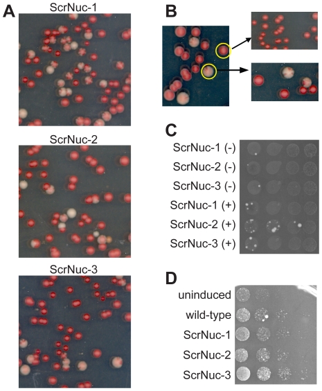 Figure 5