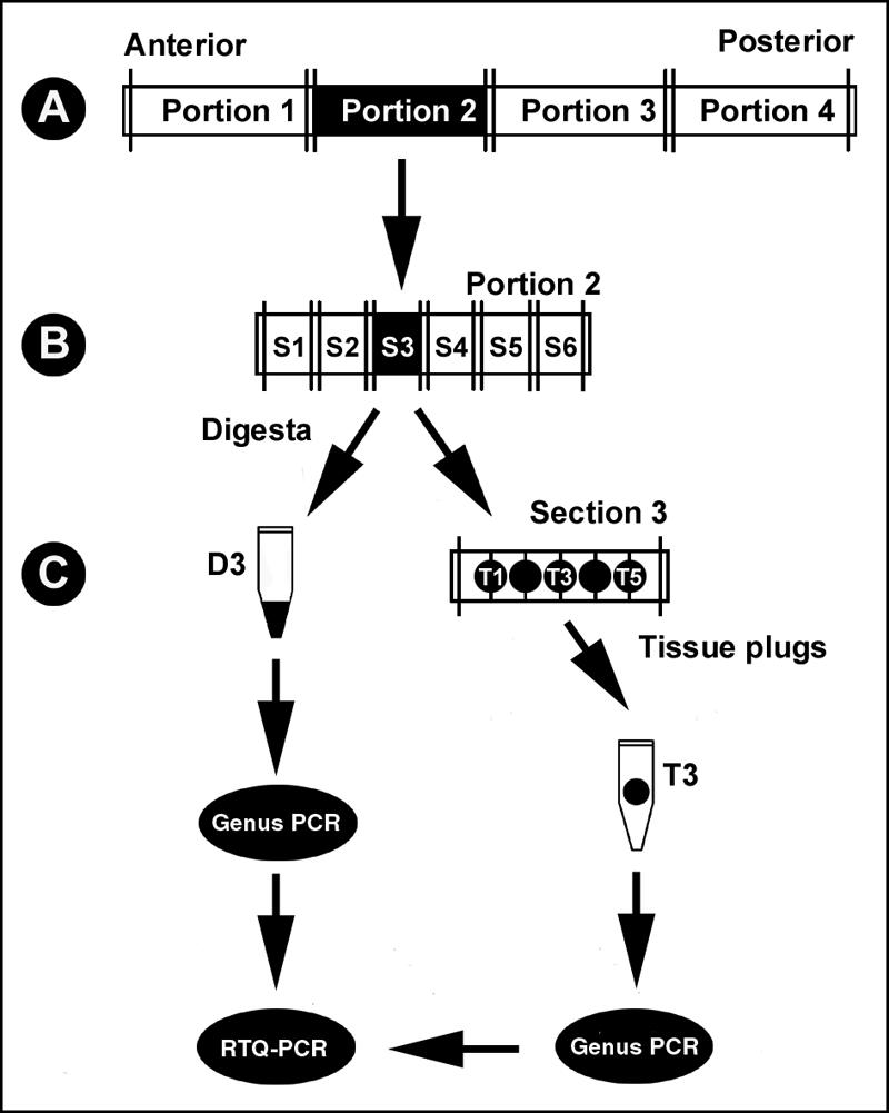 FIG. 1.