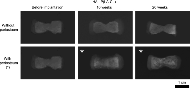 FIG. 7.