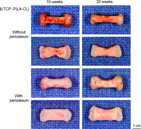 FIG. 5.