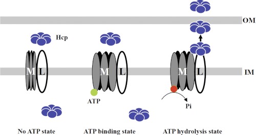 FIGURE 7.