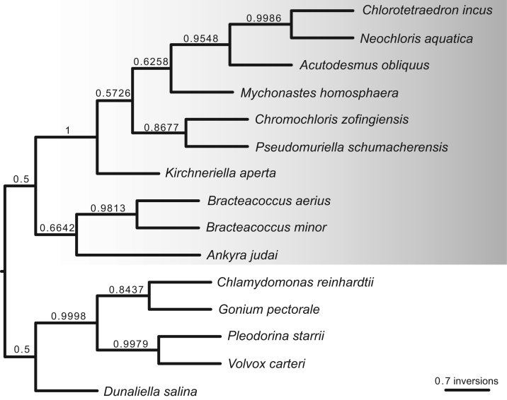 Fig. 13