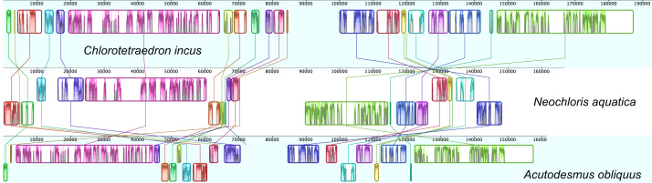 Fig. 12