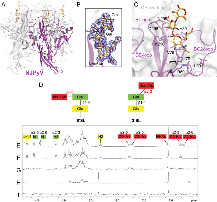 FIG 1