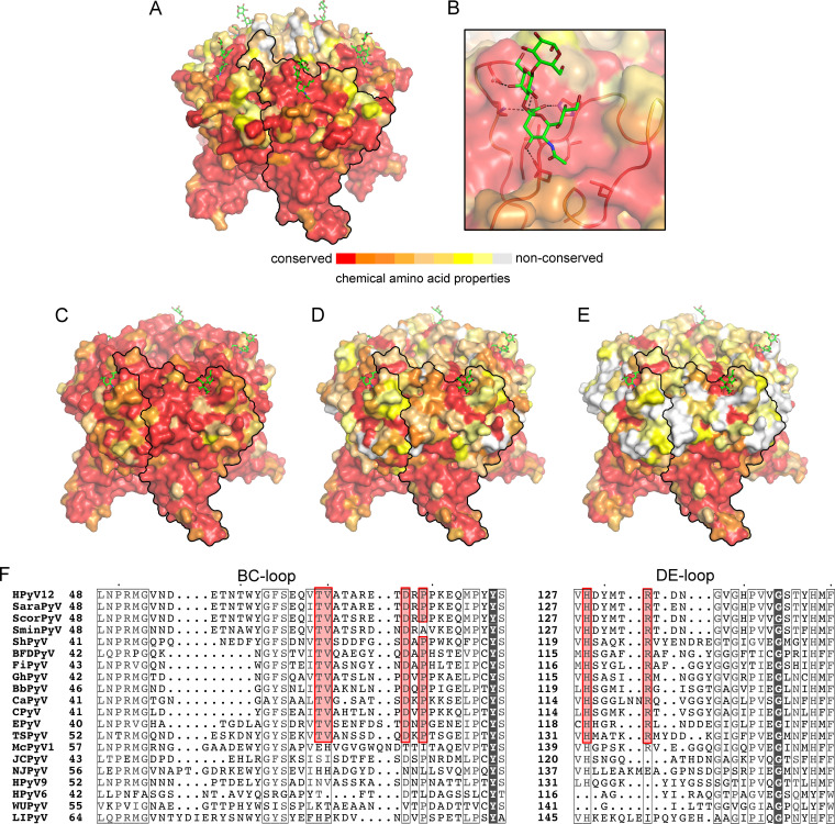 FIG 4