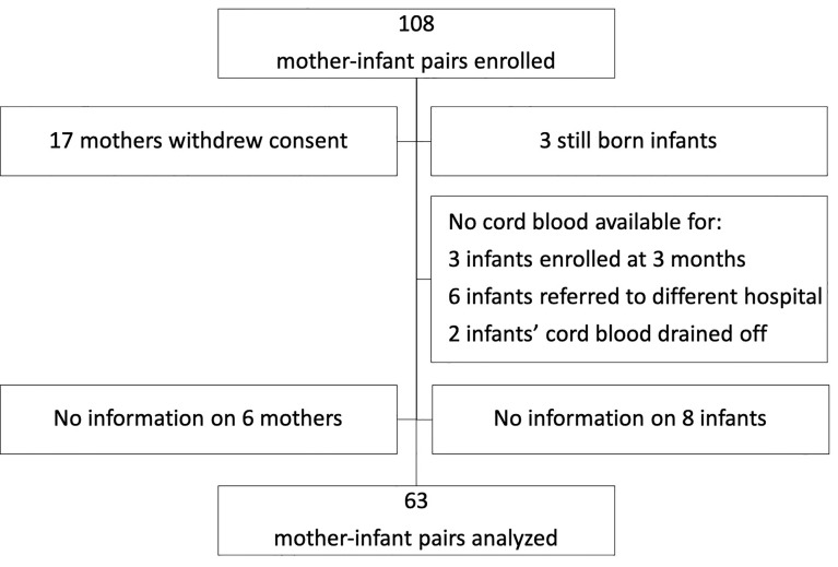 Figure 1