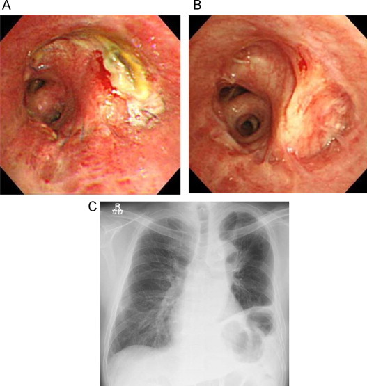 Fig. 5