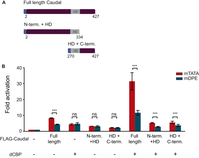 FIGURE 7.