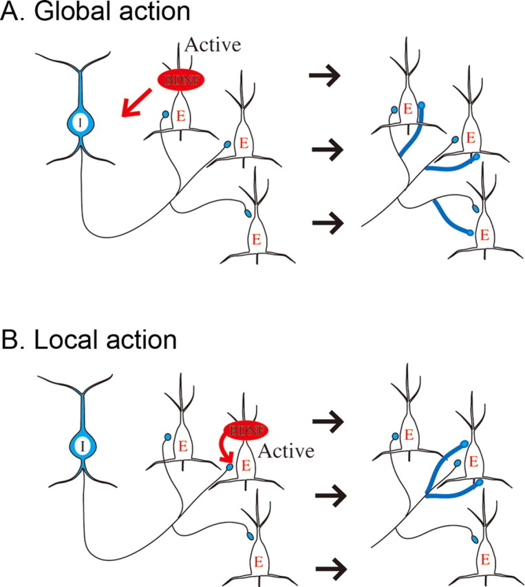 Figure 10.