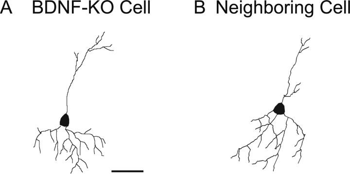 Figure 9.