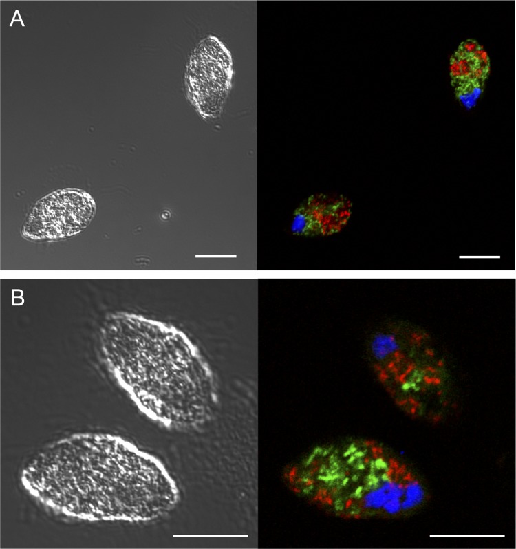 FIG 4