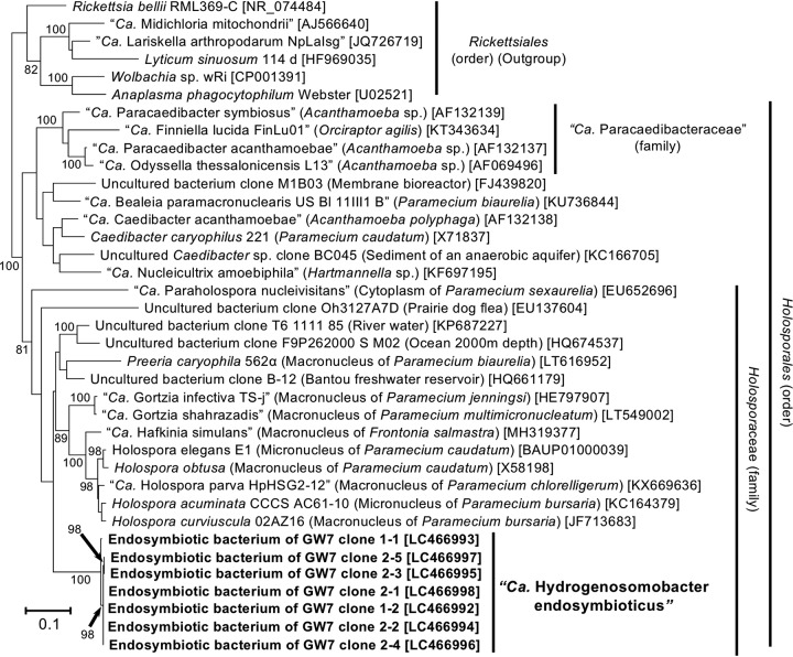 FIG 6