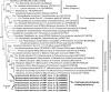 FIG 6