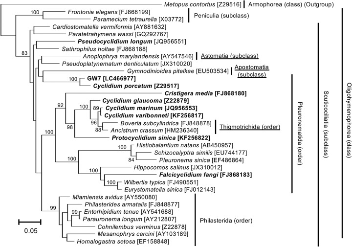 FIG 2