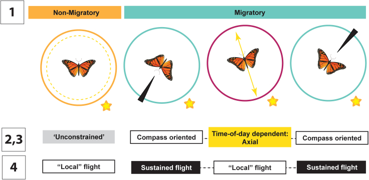 Figure 4