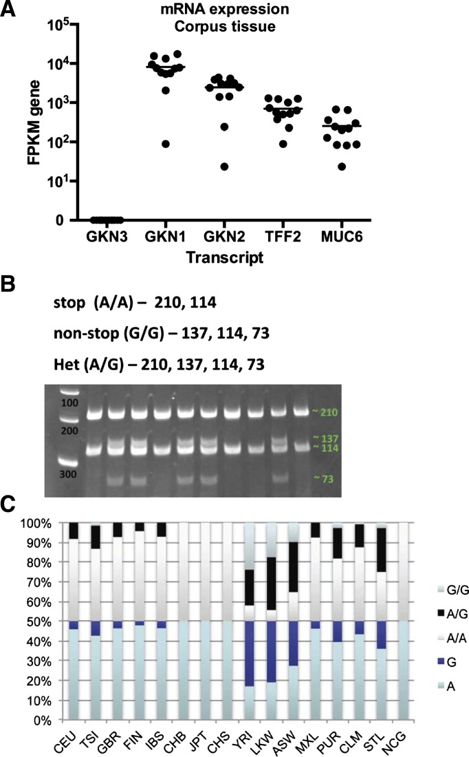 Fig. 11.