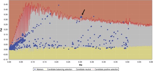 Fig. 10.