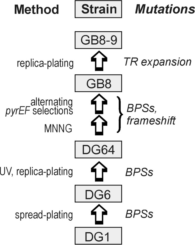 FIG 1