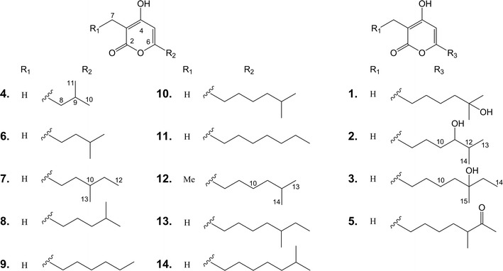 Fig. 1