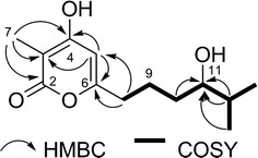 Fig. 4