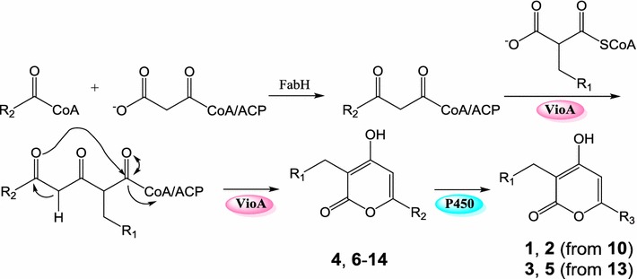 Fig. 6