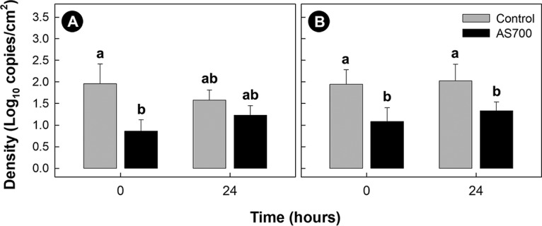 FIG 4