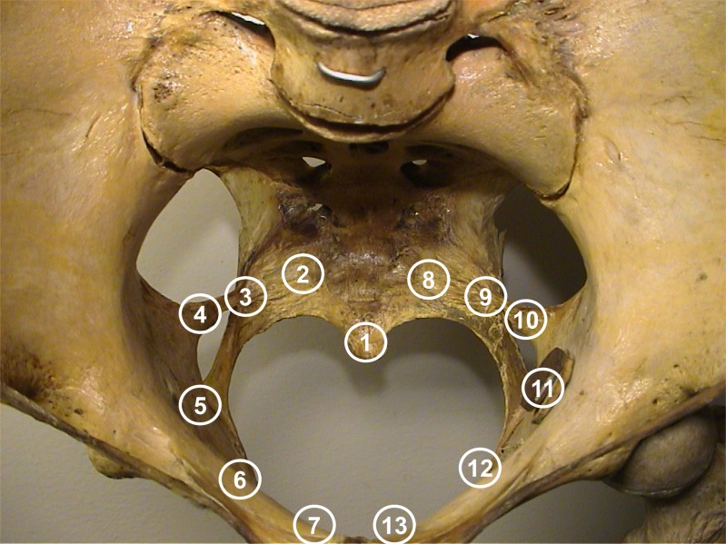 Fig 3