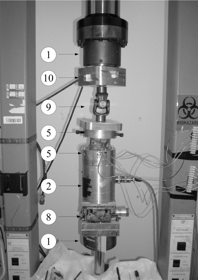 Figure 1b: