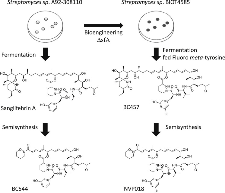 Figure 1