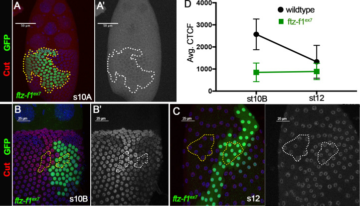 Figure 3—figure supplement 2.