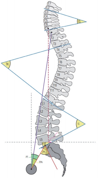 Fig. 1.