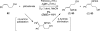 Scheme 29