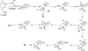 Scheme 12