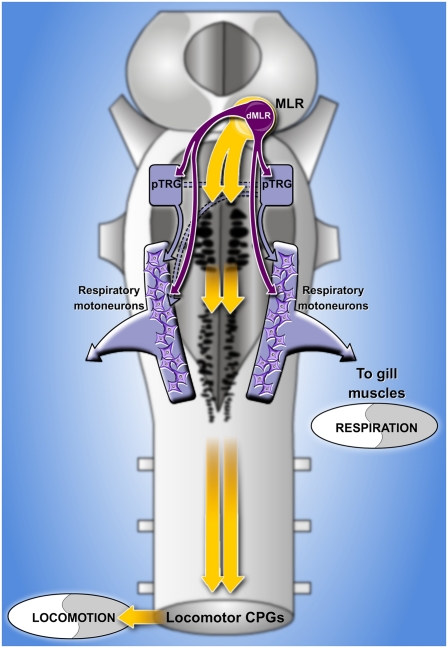 Fig. P1.