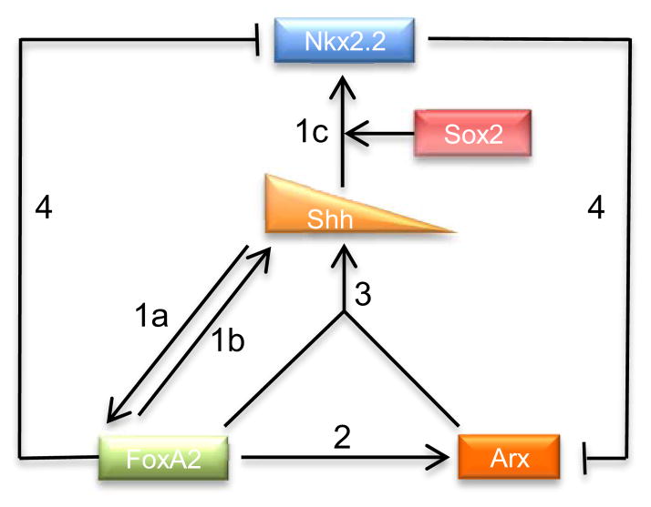 Fig. 9