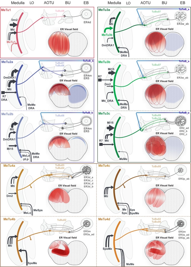 Fig. 7 |