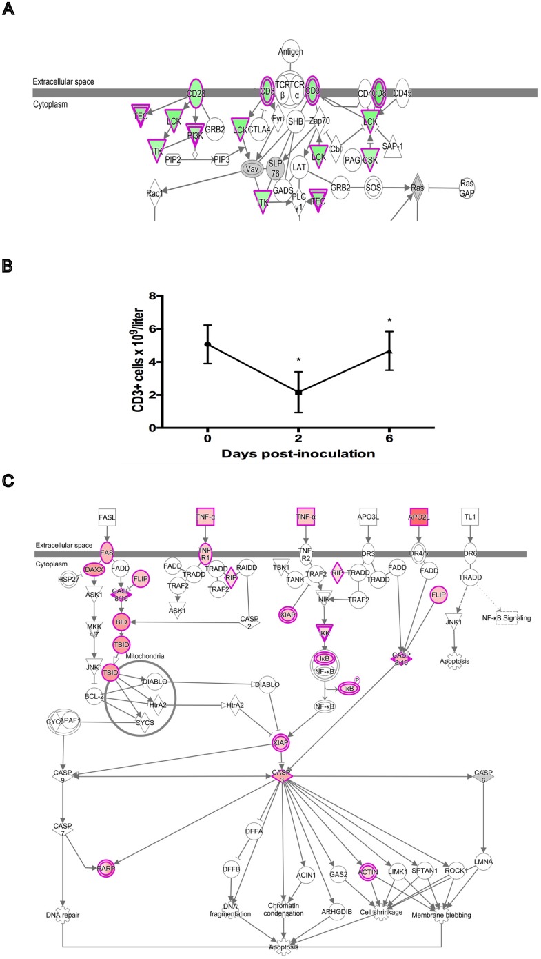 Fig 2