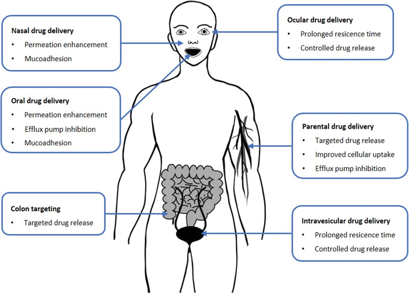 Figure 11